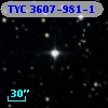 TYC 3607-981-1
