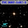 TYC 3607-1102-1