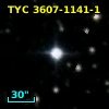 TYC 3607-1141-1