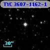 TYC 3607-1162-1