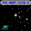 TYC 3607-1228-1