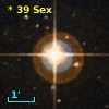 *  39 Sex