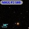 NOGG P2  509