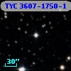 TYC 3607-1750-1
