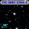 TYC 3607-1784-1