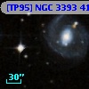 [TP95] NGC  3393  41