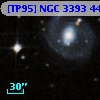 [TP95] NGC  3393  44