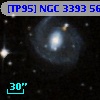 [TP95] NGC  3393  56