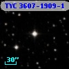 TYC 3607-1909-1