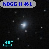 NOGG H  481