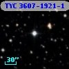 TYC 3607-1921-1