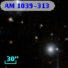 AM 1039-313