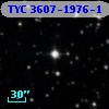 TYC 3607-1976-1