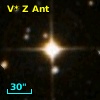 V* Z Ant