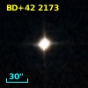 BD+42  2173