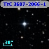 TYC 3607-2066-1
