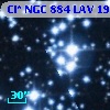Cl* NGC  884    LAV    1954