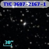 TYC 3607-2167-1