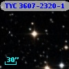 TYC 3607-2320-1