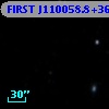 FIRST J110058.8+362334