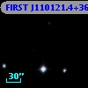 FIRST J110121.4+365945