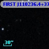 FIRST J110236.4+375939