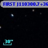 FIRST J110300.7+360830