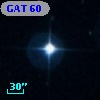 GAT   60