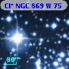 Cl* NGC  869      W      75