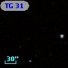 TG  31