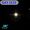GAT 1123