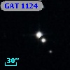 GAT 1124