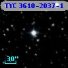 TYC 3610-2037-1