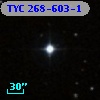 TYC  268-603-1