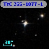 TYC  255-1077-1