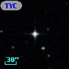 TYC  262-384-1