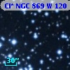 Cl* NGC  869      W     120