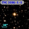 TYC 3186-1-1