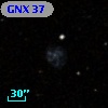 GNX  37