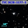 TYC 3620-1177-1