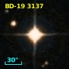 BD-19  3137