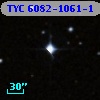 TYC 6082-1061-1