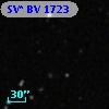 SV* BV  1723