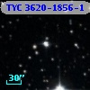 TYC 3620-1856-1