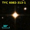TYC 6082-313-1