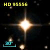 HD  95556