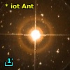 * iot Ant