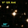 V* UX Ant