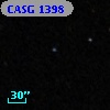 CASG 1398