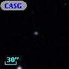 CASG  813